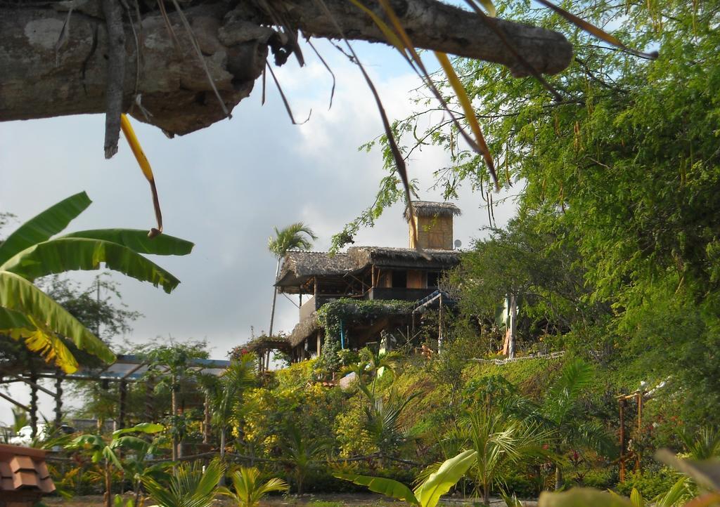 Villa Curia 몬따니따 외부 사진
