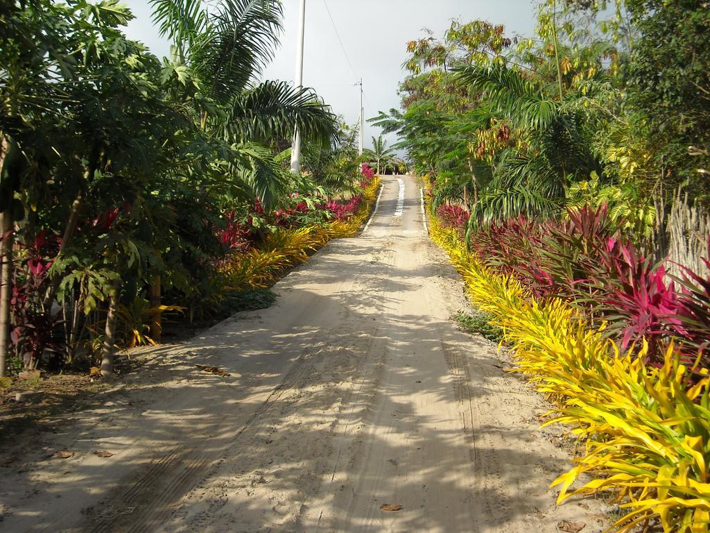 Villa Curia 몬따니따 외부 사진